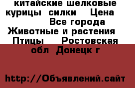 китайские шелковые курицы (силки) › Цена ­ 2 500 - Все города Животные и растения » Птицы   . Ростовская обл.,Донецк г.